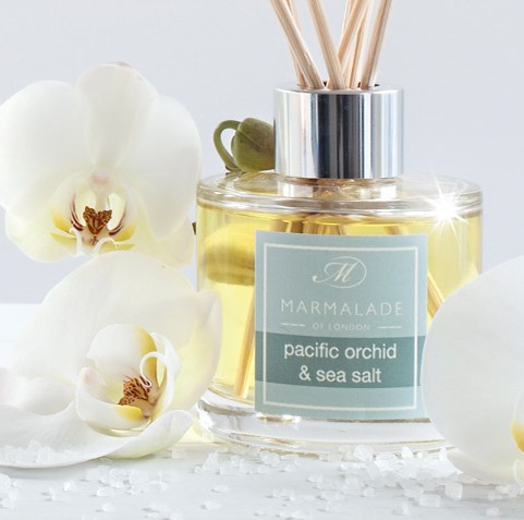 Pacific Orchid and Sea Salt
