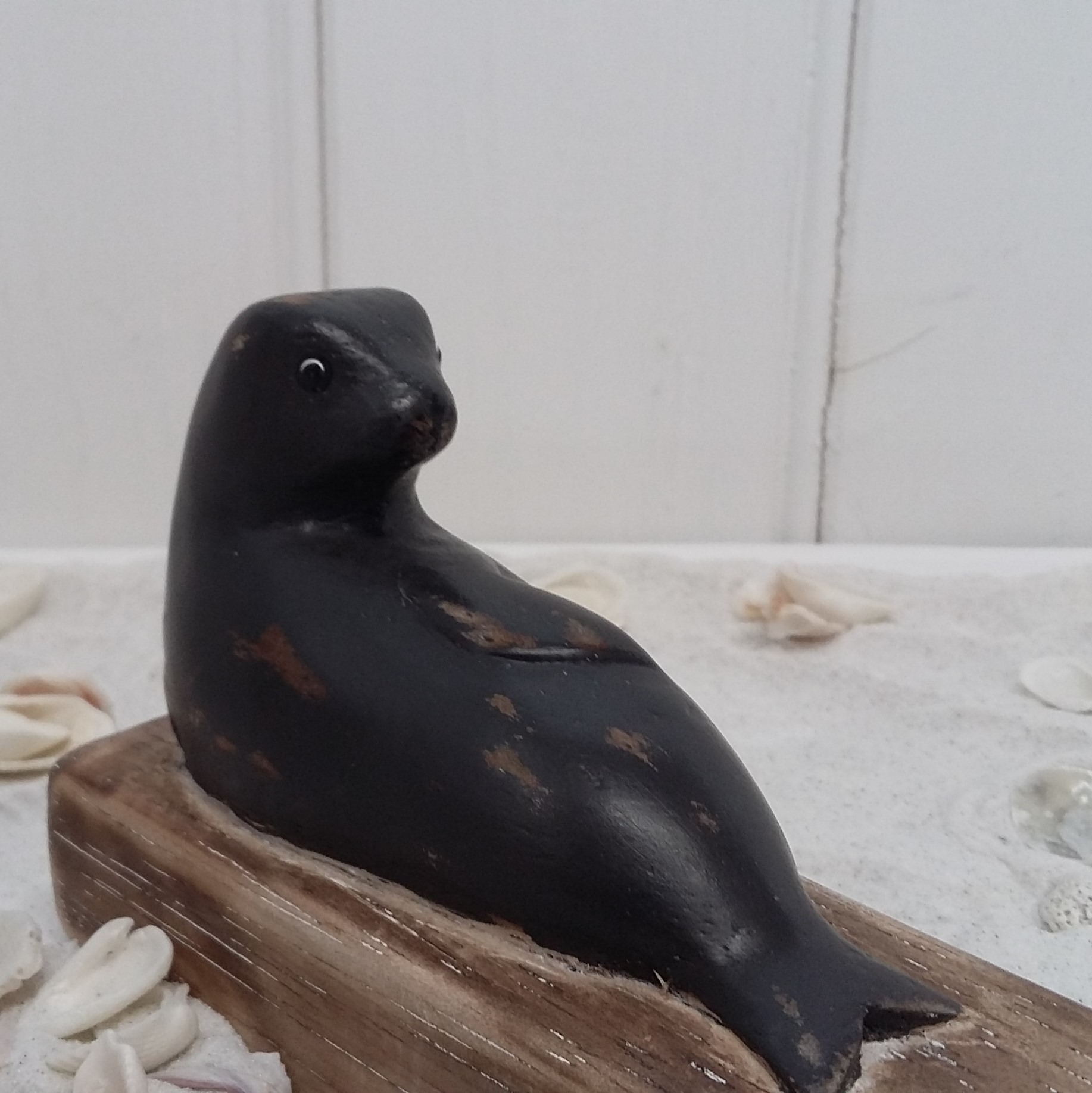Seal Door Stop Shore Coastal